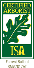 ISA