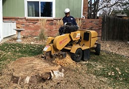 Stump Grinding Northglenn CO