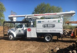 Tree Service Brighton CO